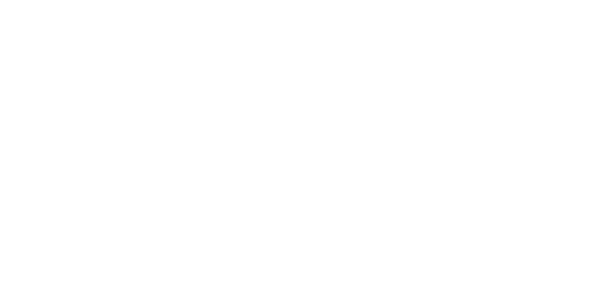Reminisce Festival
